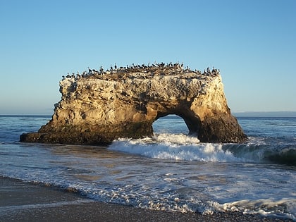 natural bridges state beach santa cruz