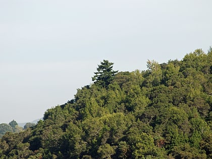 jasper ridge biological preserve