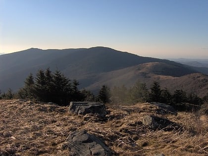 roan mountain parc detat de roan mountain