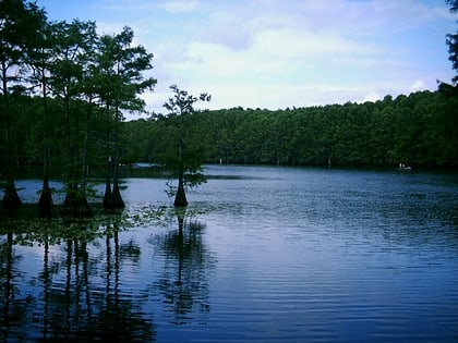 Park Stanowy Caddo Lake
