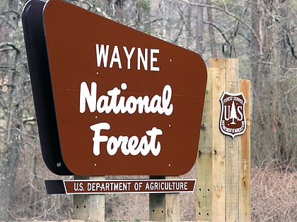 bosque nacional wayne