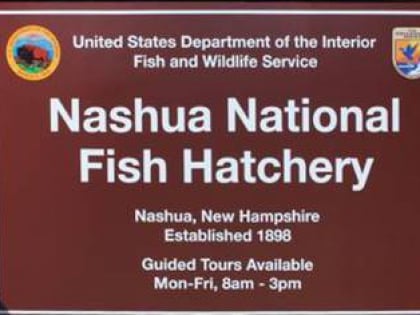 new hampshire fish hatchery nashua
