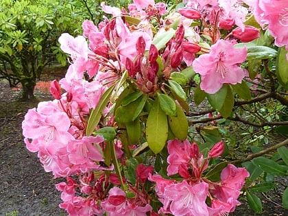 crystal springs rhododendron garden portland