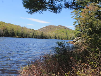 murphy lake parc adirondack