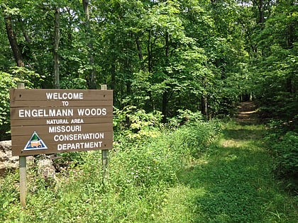 Engelmann Woods Natural Area