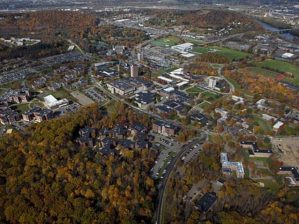 Universidad de Binghamton
