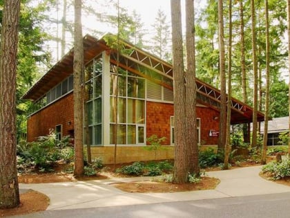maple valley library