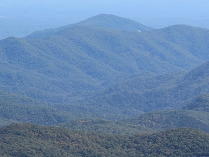 adams mountain pisgah national forest