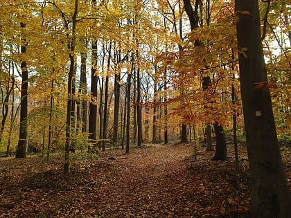 watchung reservation