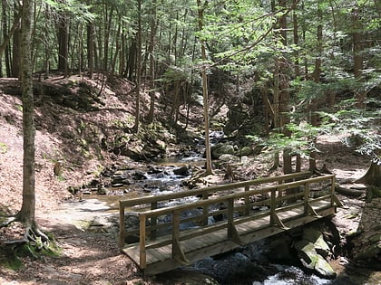 chesterfield gorge natural area