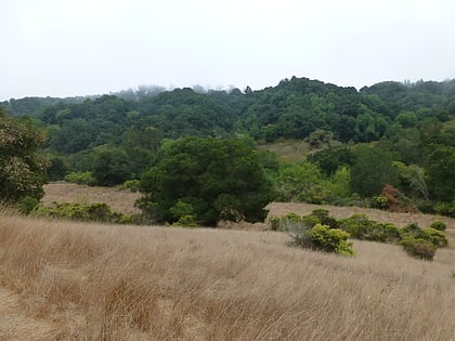 Anthony Chabot Regional Park