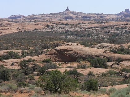 petrified dunes parc national des arches