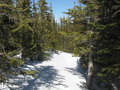 flattop mountain trail parque nacional de las montanas rocosas