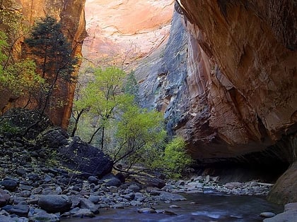 the narrows zion national park