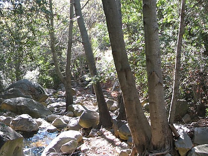 rattlesnake canyon santa barbara