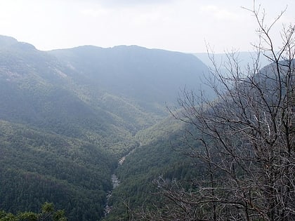 linville gorge wilderness