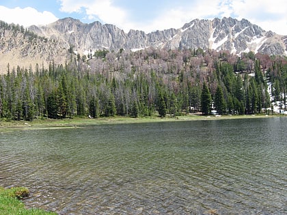 patterson peak white clouds wilderness