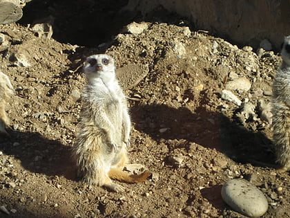 Charles Paddock Zoo