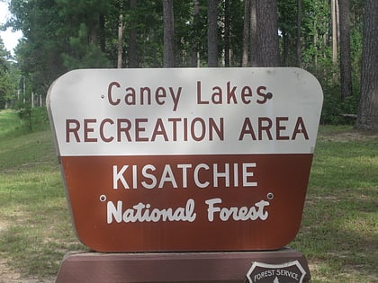 caney lakes recreation area bosque nacional de sabine
