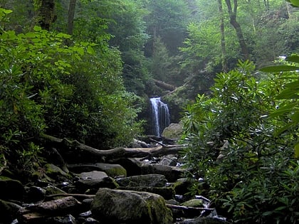 roaring fork park narodowy great smoky mountains