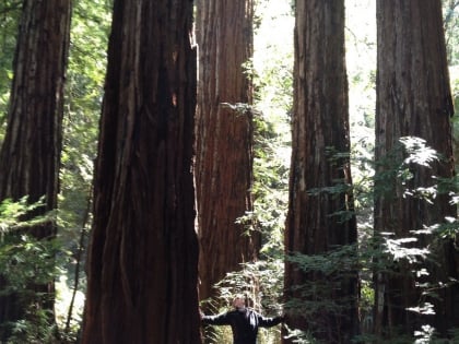 armstrong redwoods state natural reserve