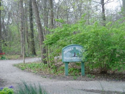 Friends of Moses Wright Nature Area