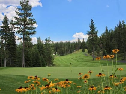 coyote moon golf course truckee