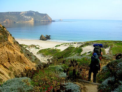 channel islands de californie ile santa cruz