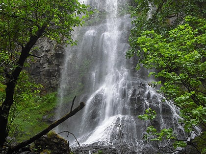 fall creek falls bosque nacional umpqua