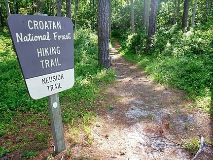 neusiok trail foret nationale de croatan