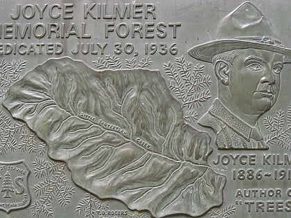 joyce kilmer memorial forest