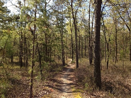 batona trail new jersey pinelands national reserve