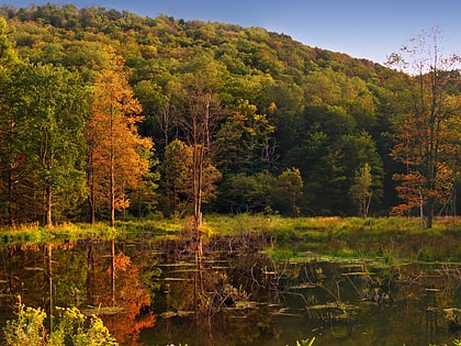 Lyman Run State Park