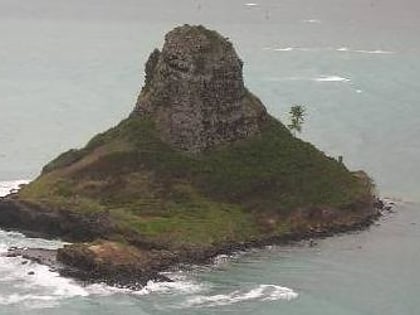 Mokoliʻi