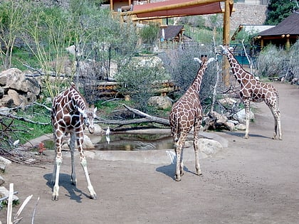 Zoo de Cheyenne Mountain