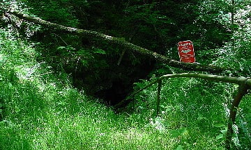 colossal cavern park narodowy jaskini mamuciej
