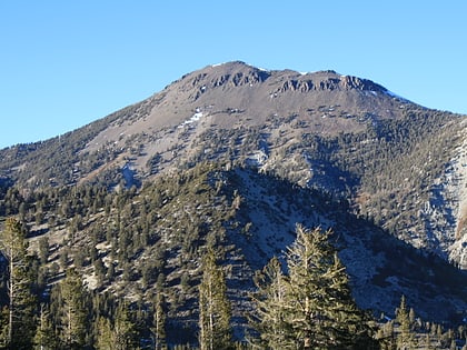 mount rose wilderness