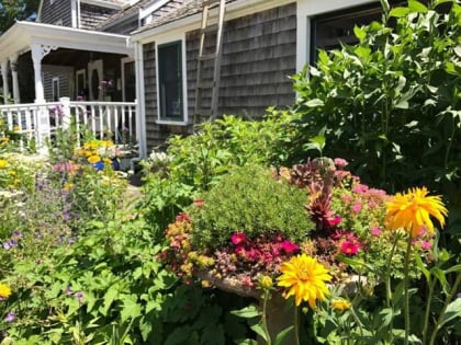 Green Briar Nature Center and Jam Kitchen