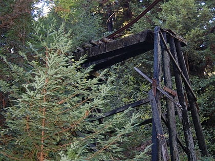 roaring camp and big trees narrow gauge railroad santa cruz