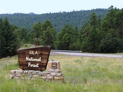 gila national forest