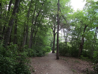 hammond pond reservation