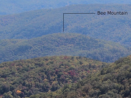 bee mountain foret nationale de pisgah