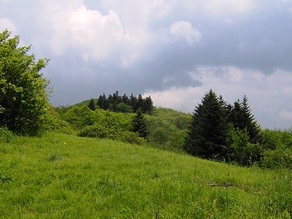 bob stratton bald joyce kilmer slickrock wilderness