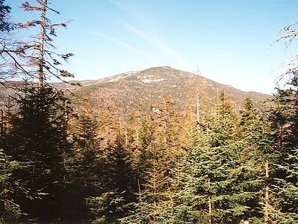 panther peak high peaks wilderness area