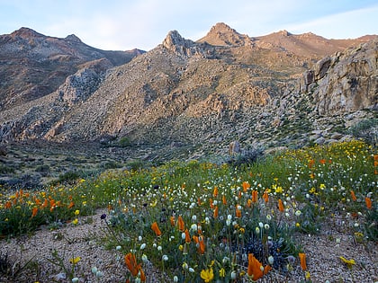 owens peak wilderness