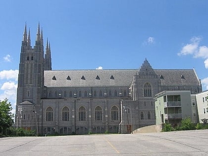 basilica de san pedro y san pablo lewiston