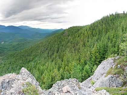 olympic national forest