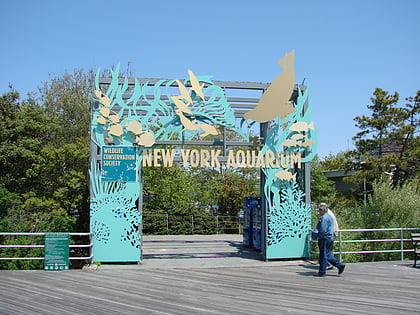 acuario de nueva york