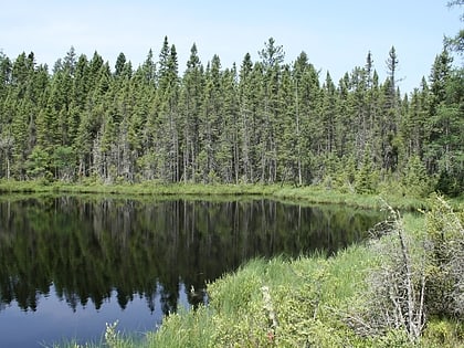 Blackjack Springs Wilderness