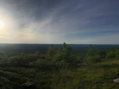 blue mountain stokes state forest